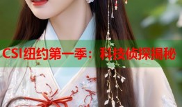 CSI纽约第一季：科技侦探揭秘