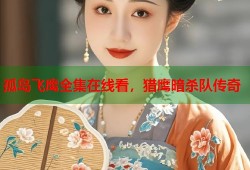 孤岛飞鹰全集在线看，猎鹰暗杀队传奇
