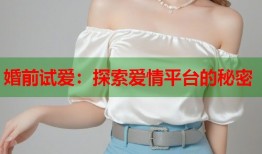 婚前试爱：探索爱情平台的秘密