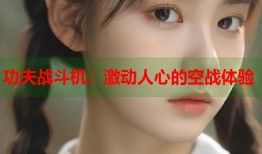 功夫战斗机：激动人心的空战体验