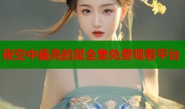 夜空中最亮的星全集免费观看平台