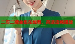 二哥二嫂全集在线看，高清流畅播放
