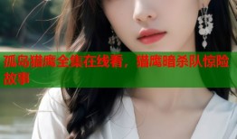 孤岛猎鹰全集在线看，猎鹰暗杀队惊险故事