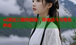 sd高达三国传国语：策略战斗与角色养成