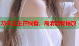 功夫之王在线看，高清流畅播放