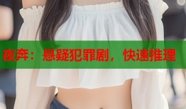 夜奔：悬疑犯罪剧，快速推理