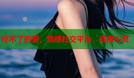 停不了的爱，情感社交平台，连接心灵