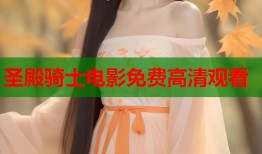 圣殿骑士电影免费高清观看