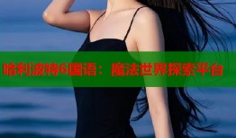 哈利波特6国语：魔法世界探索平台