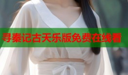 寻秦记古天乐版免费在线看