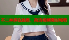 不二神探在线看，高清视频随时畅看
