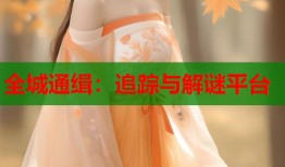 全城通缉：追踪与解谜平台