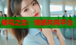 候鸟之恋：情感共鸣平台