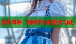 反贪风暴：揭秘平台的强大功能