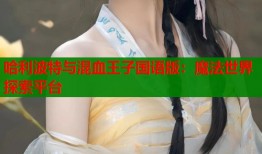 哈利波特与混血王子国语版：魔法世界探索平台