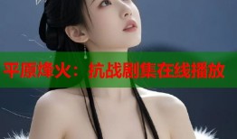平原烽火：抗战剧集在线播放