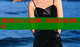 搞定岳父大人在线看，高清电影免费播放