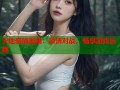 天地豪情国语：激情对战，畅享游戏乐趣