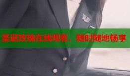 圣诞玫瑰在线观看，随时随地畅享