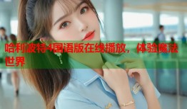 哈利波特4国语版在线播放，体验魔法世界