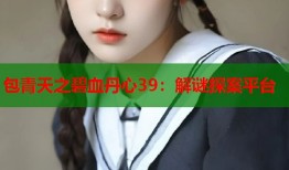 包青天之碧血丹心39：解谜探案平台