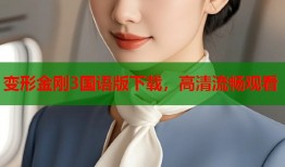 变形金刚3国语版下载，高清流畅观看