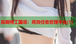 孤胆特工国语：高效任务管理平台(1)