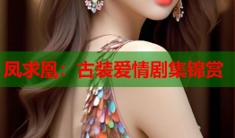 凤求凰：古装爱情剧集锦赏
