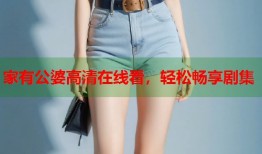 家有公婆高清在线看，轻松畅享剧集