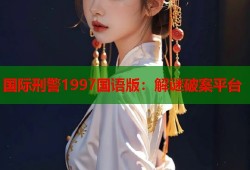 国际刑警1997国语版：解谜破案平台