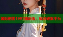 国际刑警1997国语版：解谜破案平台