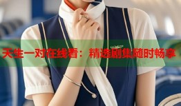 天生一对在线看：精选剧集随时畅享