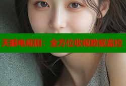 天眼电视剧：全方位收视数据监控