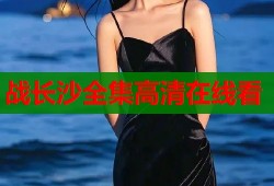 战长沙全集高清在线看
