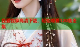 我爱我家高清下载，轻松观看120集全集