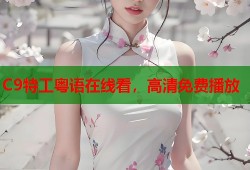C9特工粤语在线看，高清免费播放
