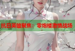抗日英雄聚焦：零炮楼激情战场