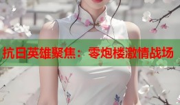 抗日英雄聚焦：零炮楼激情战场