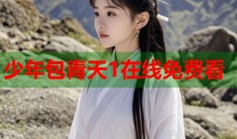少年包青天1在线免费看