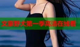 文豪野犬第一季高清在线看