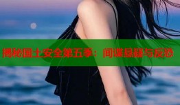 揭秘国土安全第五季：间谍悬疑与反恐