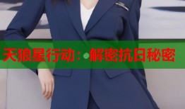 天狼星行动：解密抗日秘密