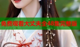 免费观看大丈夫全48集完整版
