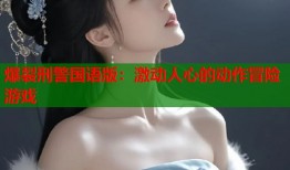 爆裂刑警国语版：激动人心的动作冒险游戏