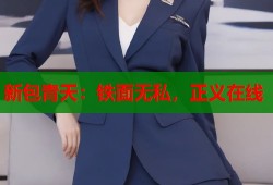 新包青天：铁面无私，正义在线