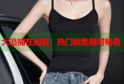 大追捕在线看，热门剧集随时畅看