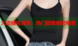 大追捕在线看，热门剧集随时畅看