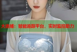 大追捕：智能追踪平台，实时监控助力