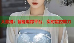 大追捕：智能追踪平台，实时监控助力