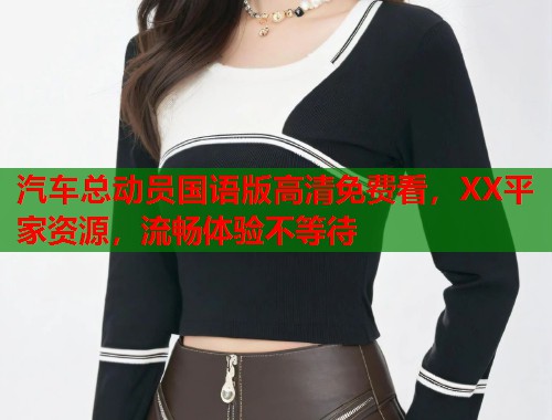 汽车总动员国语版高清免费看，XX平家资源，流畅体验不等待